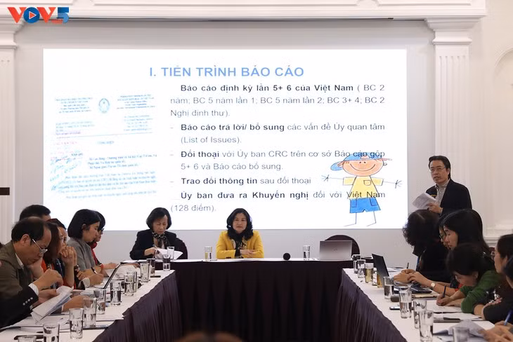 Le Comité des droits de l’enfant fait ses recommandations au Vietnam ảnh 1