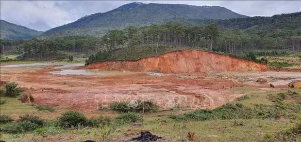 Renforcement des écosystèmes dans les provinces de Lam Dong et de Dak Nong ảnh 1