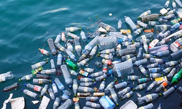 Lancement du prix de la presse et du concours de photos sur la réduction des déchets plastiques ảnh 2