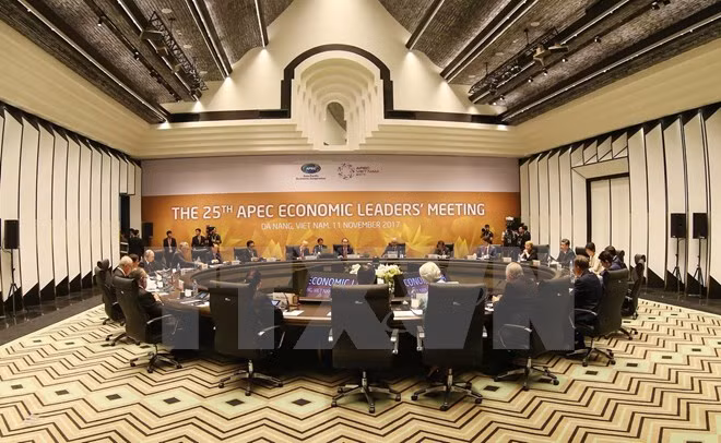 Ouverture de la 25e Conférence des dirigeants économiques de l'APEC ảnh 1