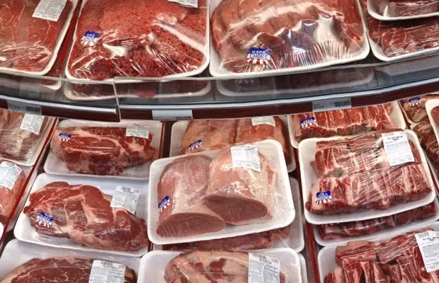 Des entreprises argentines sondent le marché vietnamien ảnh 1
