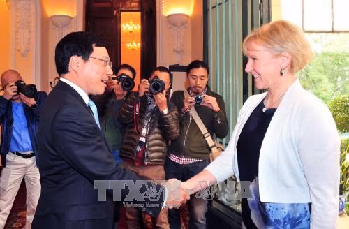 Le Vietnam et la Suède veulent renforcer leurs relations multiformes ảnh 1