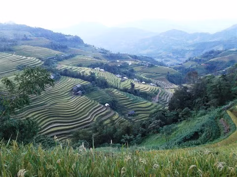 Dans le Nord, le tourisme durable prend de l’altitude à Hoàng Su Phi ảnh 1