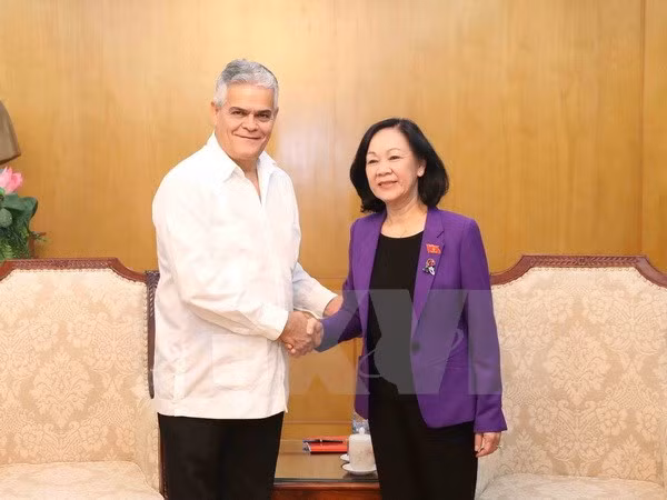 Le vice-président de l’AN Dô Ba Ty reçoit un reponsable cubain ảnh 2