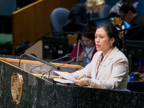 L’ONU doit se transformer pour être transparente et efficace ảnh 1