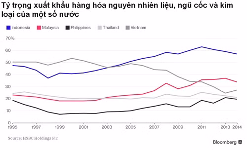 Le Vietnam est sur le bon chemin ảnh 1