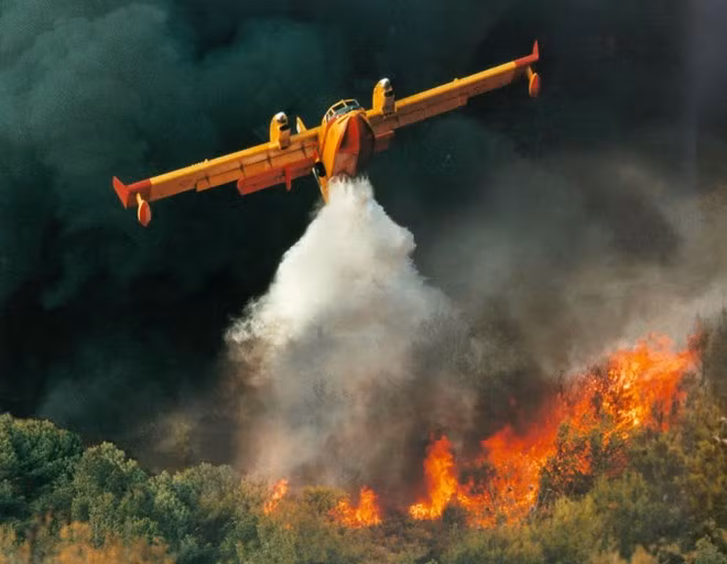 L'Indonésie verse des millions de dollars pour résoudre les incendies forestiers ảnh 1