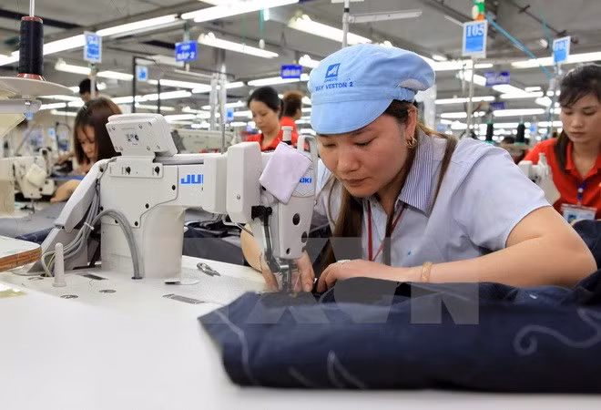 Présentation du marché vietnamien aux entreprises de l'ASEAN ảnh 1