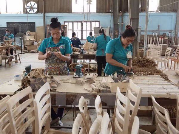 Dong Nai affiche un excédent commercial sur dix mois ảnh 1