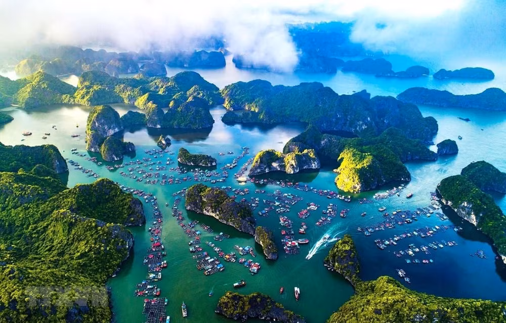 Protection des océans et développement durable des moyens de subsistance marins ảnh 1 Protection des océans et développement durable des moyens de subsistance marins ảnh 1