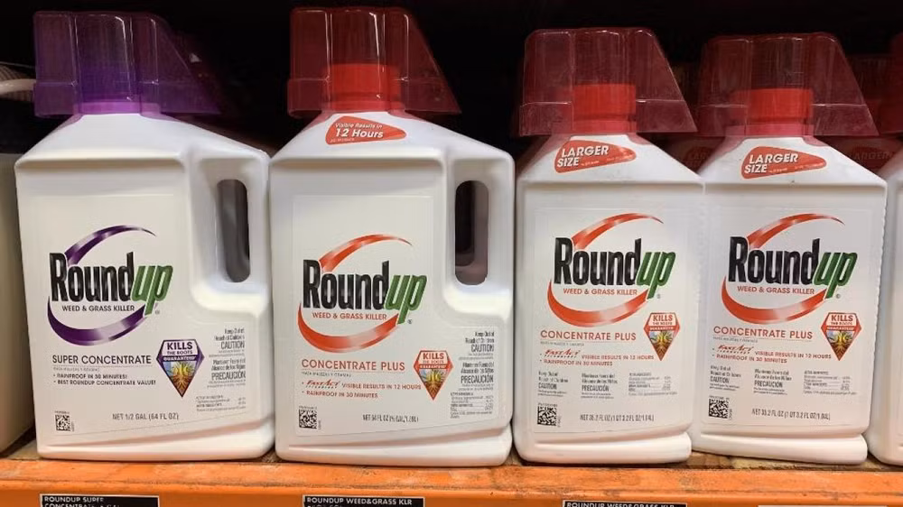 Procès du Roundup : une condamnation de Monsanto confirmée en appel en Californie ảnh 1