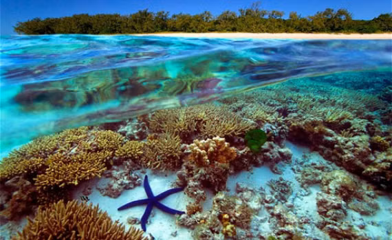 Protection des océans et développement durable des moyens de subsistance marins ảnh 2 Protection des océans et développement durable des moyens de subsistance marins ảnh 2