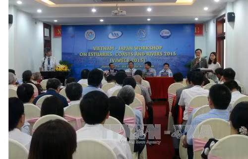Vietnam et Japon partagent des expériences dans la lutte contre l'érosion du littoral ảnh 1