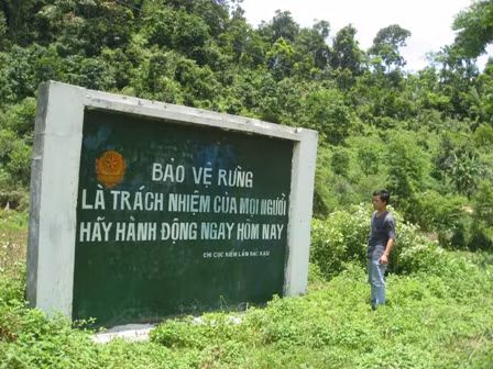 La protection des forêts, un moyen efficace de lutte contre la pauvreté ảnh 1