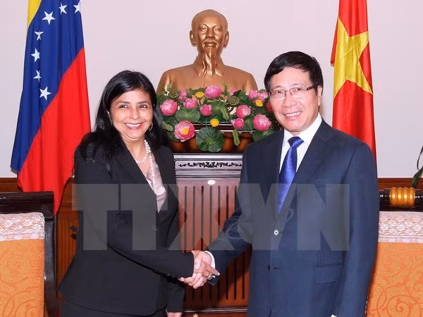Pham Binh Minh reçoit la ministre vénézuelienne pour les Relations extérieures ảnh 1