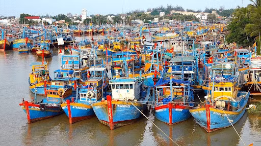 Kien Giang et Ha Tinh déterminées à lutter contre la pêche INN ảnh 1