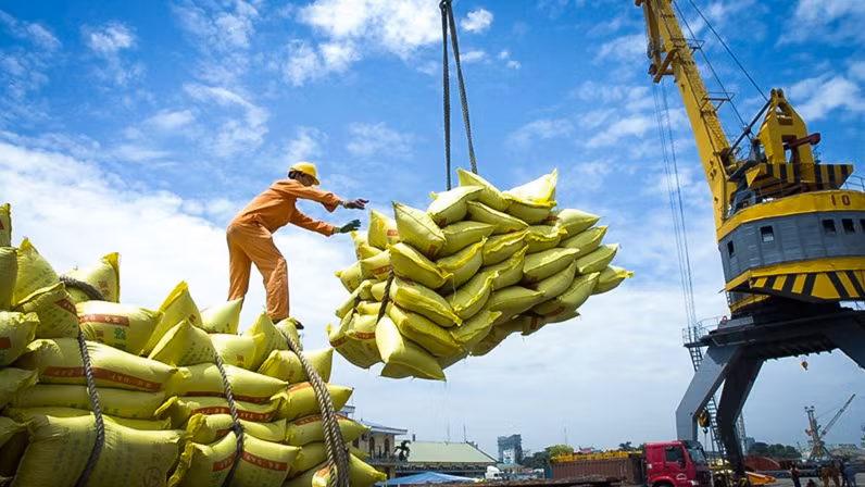 Les exportations de riz vers le Sénégal restent faibles par rapport à la demande ảnh 1