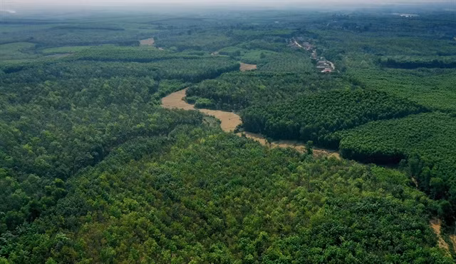 Journée mondiale de la vie sauvage (3 mars) : Pour la "santé" de la planète ảnh 1