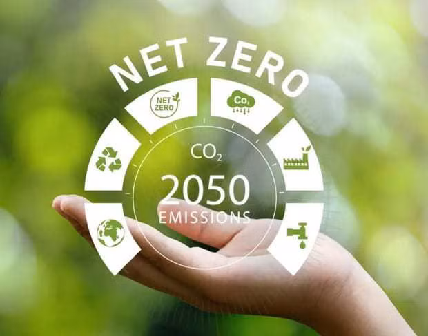 Heure de la Terre 2024 : objectif de net zéro à 2050 ảnh 1