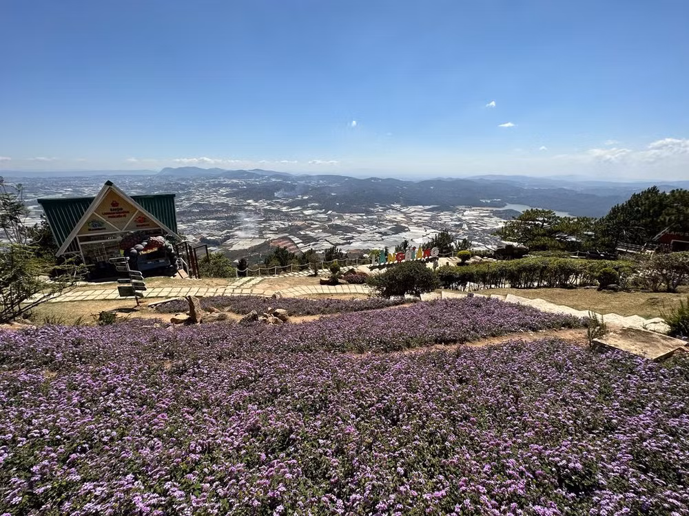 Là-haut, sur la montagne Langbiang ảnh 1 Là-haut, sur la montagne Langbiang ảnh 1