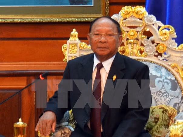 Une délégation du FPV de HCM-Ville en visite au Cambodge ảnh 1