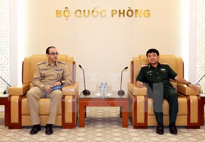 L'ONU soutient le Vietnam dans la participation aux opérations de maintien de la paix ảnh 1