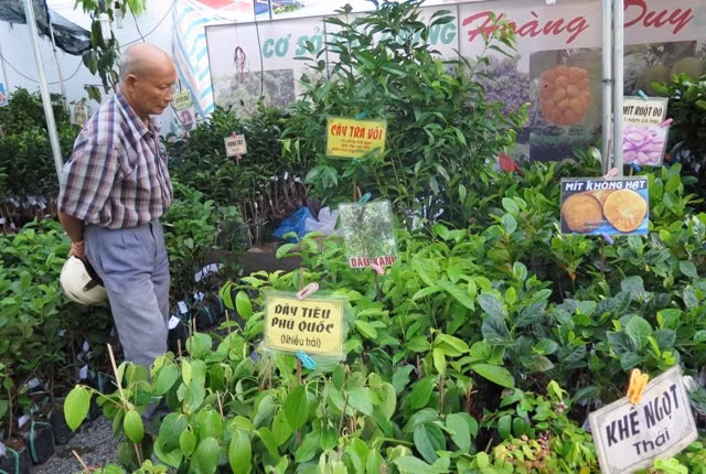 Ouverture de la Foire agricole et commerciale de la région du Sud-Est 2016 ảnh 1
