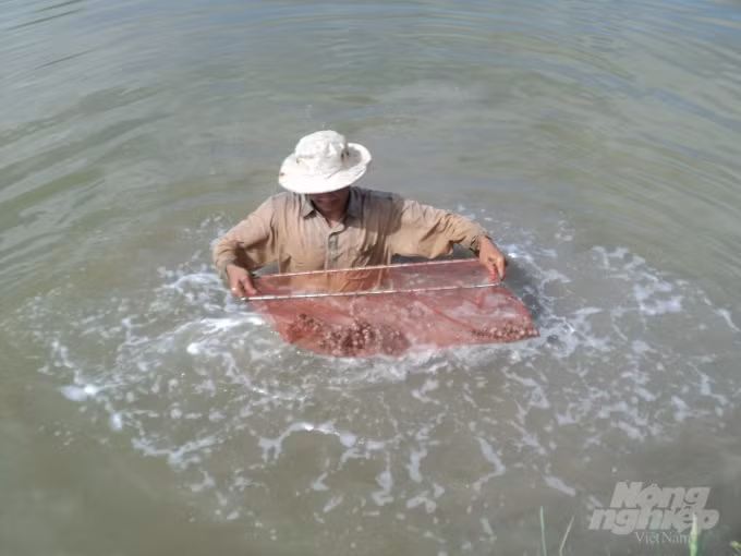 Etude des espèces de coquillages venimeux à Phu Quoc ảnh 1