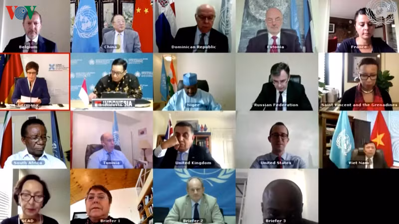 Le Vietnam rejoint le débat public du CSNU sur les opérations de paix et les droits de l’homme ảnh 1