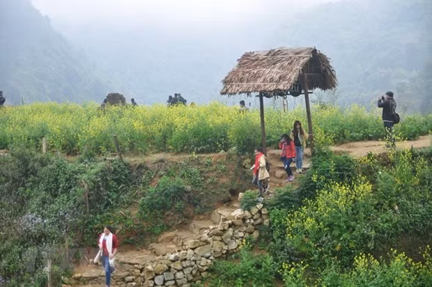 Sept destinations incontournables à Sa Pa ảnh 4 Sept destinations incontournables à Sa Pa ảnh 4