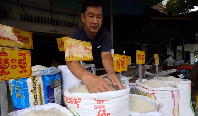 Cambodge : les exportations de riz augmentent malgré les intempéries ảnh 1