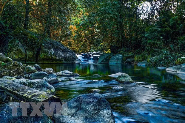 Dak Nong définira-t-elle de nouvelles valeurs touristiques au Vietnam ? ảnh 4