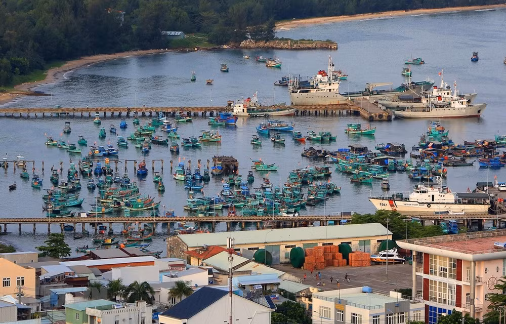 Kien Giang cherche à accélérer ses exportations des marchandises ảnh 1