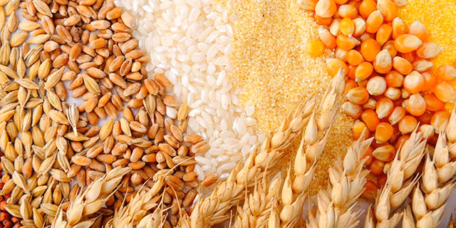 Le Cambodge pourra exporter 5 millions de tonnes de produits agricoles cette année ảnh 1