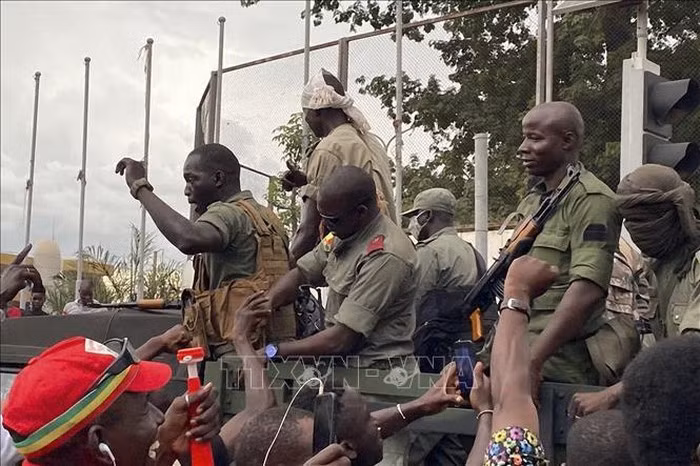 Le Vietnam et l’Indonésie appellent une approche intégrale à la question liée au Mali ảnh 1