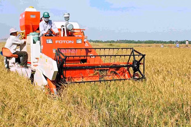 Des agriculteurs innovants à l’ère de la révolution 4.0 ảnh 2