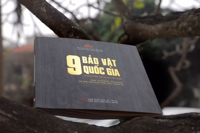 Un sublime livre bilingue sur neuf trésors nationaux sorti en librairie ảnh 1 Un sublime livre bilingue sur neuf trésors nationaux sorti en librairie ảnh 1