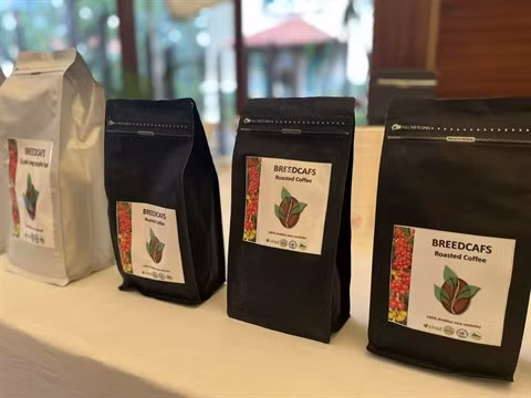 La France soutient la rénovation de la caféiculture dans le Nord-Ouest ảnh 2