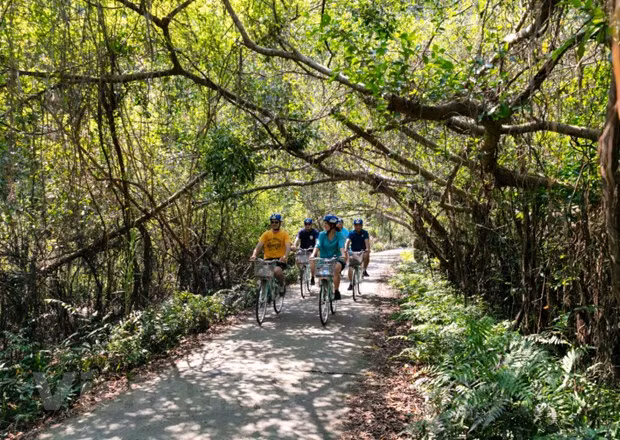 Le Vietnam prêt à rouvrir ses portes aux touristes étrangers ảnh 4