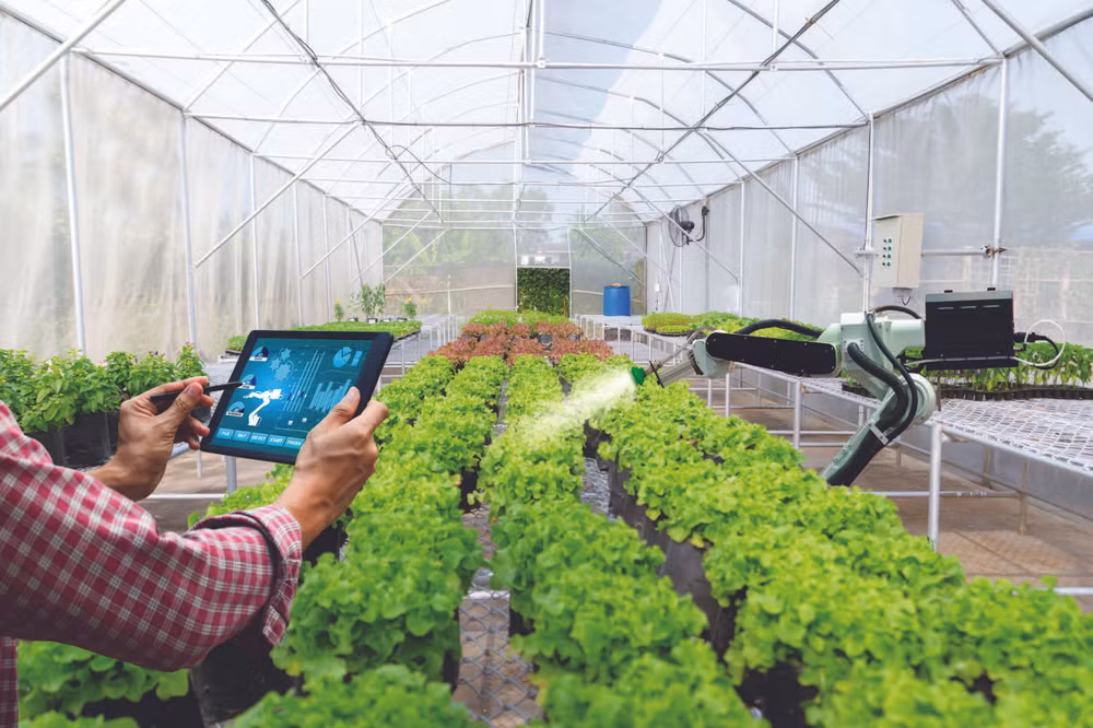 Phu Tho&nbsp;: la transformation numérique, clé pour opérer une percée dans l'agriculture ảnh 1