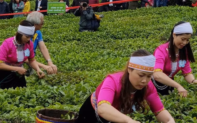 Le Vietnam publie une liste de 13 produits agricoles clés ảnh 1 Le Vietnam publie une liste de 13 produits agricoles clés ảnh 1