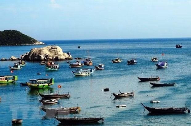 Da Nang s'efforce de devenir un centre économique maritime ảnh 1