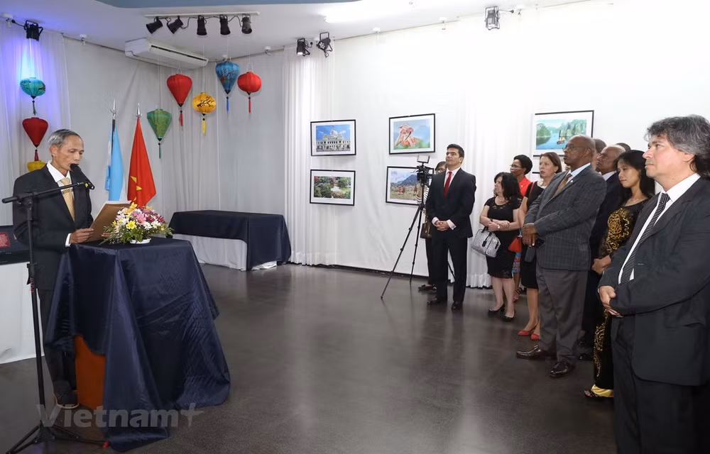 L'Argentine s'engage à dynamiser les relations de coopération avec le Vietnam ảnh 1