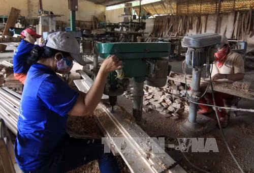 Janvier : les exportations de produits sylvicoles en hausse de 11% ảnh 1 Janvier : les exportations de produits sylvicoles en hausse de 11% ảnh 1