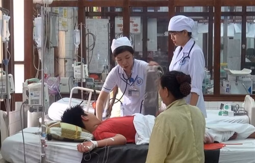 Lancement du système d'alerte précoce de la dengue au Vietnam ảnh 1