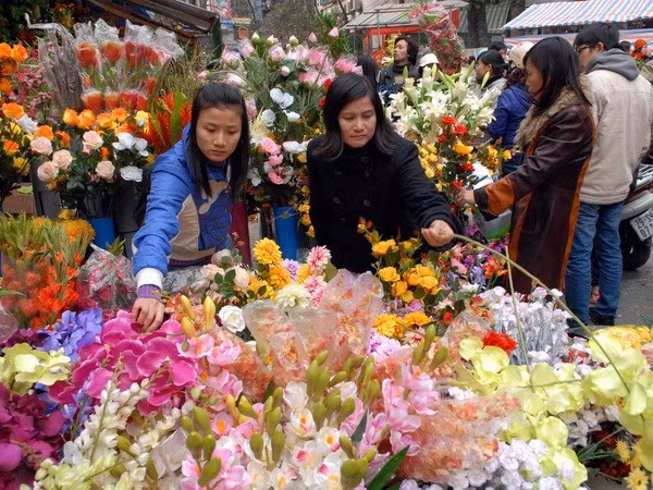 Hang Luoc, marché aux fleurs du printemps ảnh 1 Hang Luoc, marché aux fleurs du printemps ảnh 1