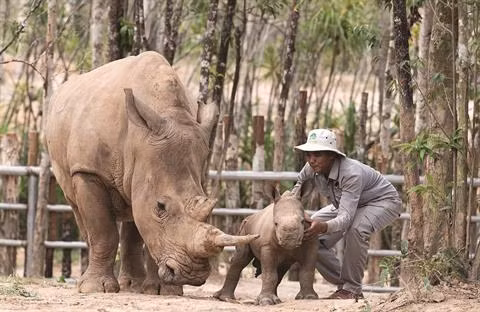 Vinpearl Safari Phu Quôc, le royaume des animaux sauvages ảnh 1