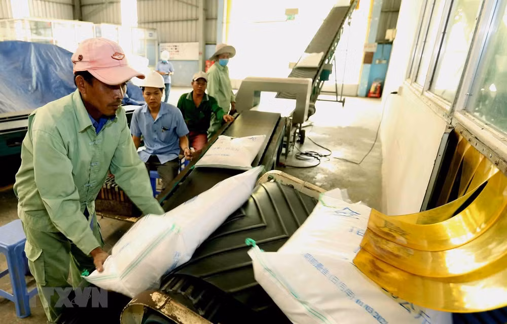 Riz: les exportations en dix mois en hausse en volume mais en recul en valeur ảnh 1