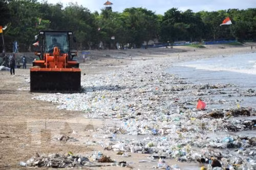 ASEAN-Norvège : lancement du projet de coopération dans la lutte contre la pollution plastique ảnh 1