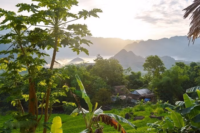 Des destinations touristiques à ne pas manquer à Thanh Hoa ảnh 4